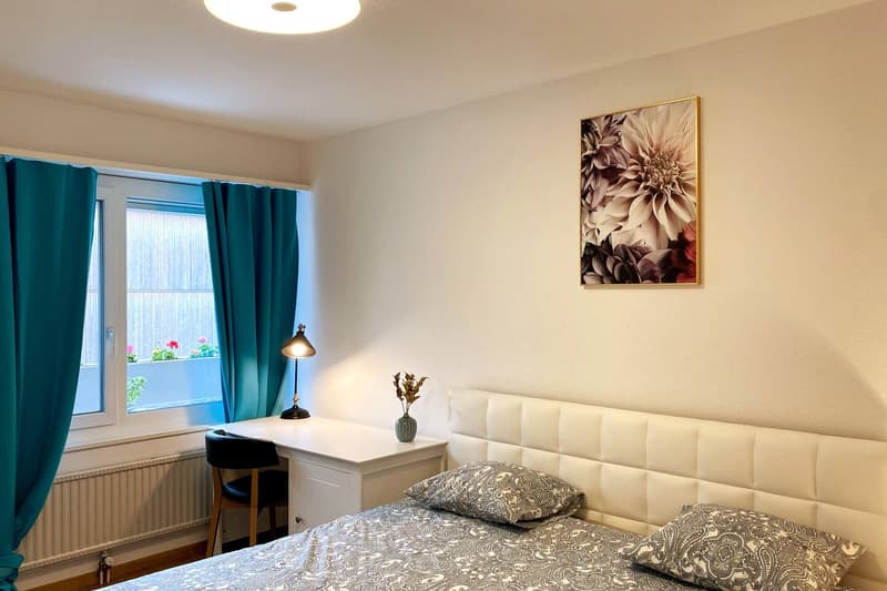 Sharing - Fully Furnished  Business apartment - 1  Room -  Male Sharing Apartment/WG @8052 Zürich (1)