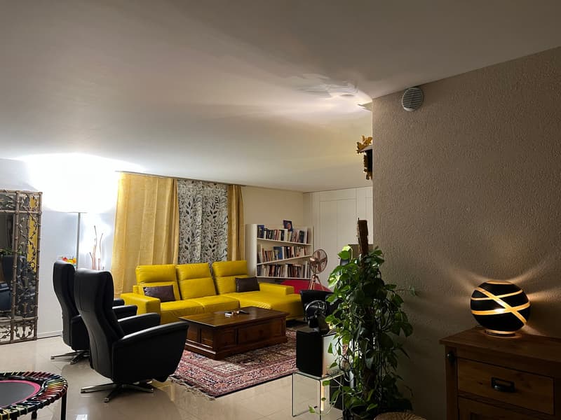 Shared Accommodation - Independent Room - WG - 8034 Wallisellen Fully-furnished 4.5-room Apartment (2)