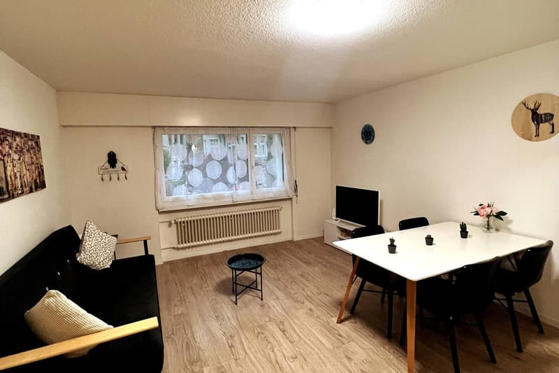 Expats-1.5 room (12) fully Furnished Business Apartment in the heart of city, 6004 Luzern (2)