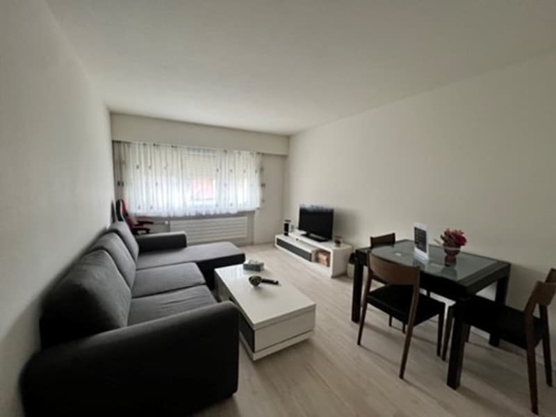 Expats-4.5 room (36) fully Furnished Business Apartment in the heart of city, 6004 Luzern (1)