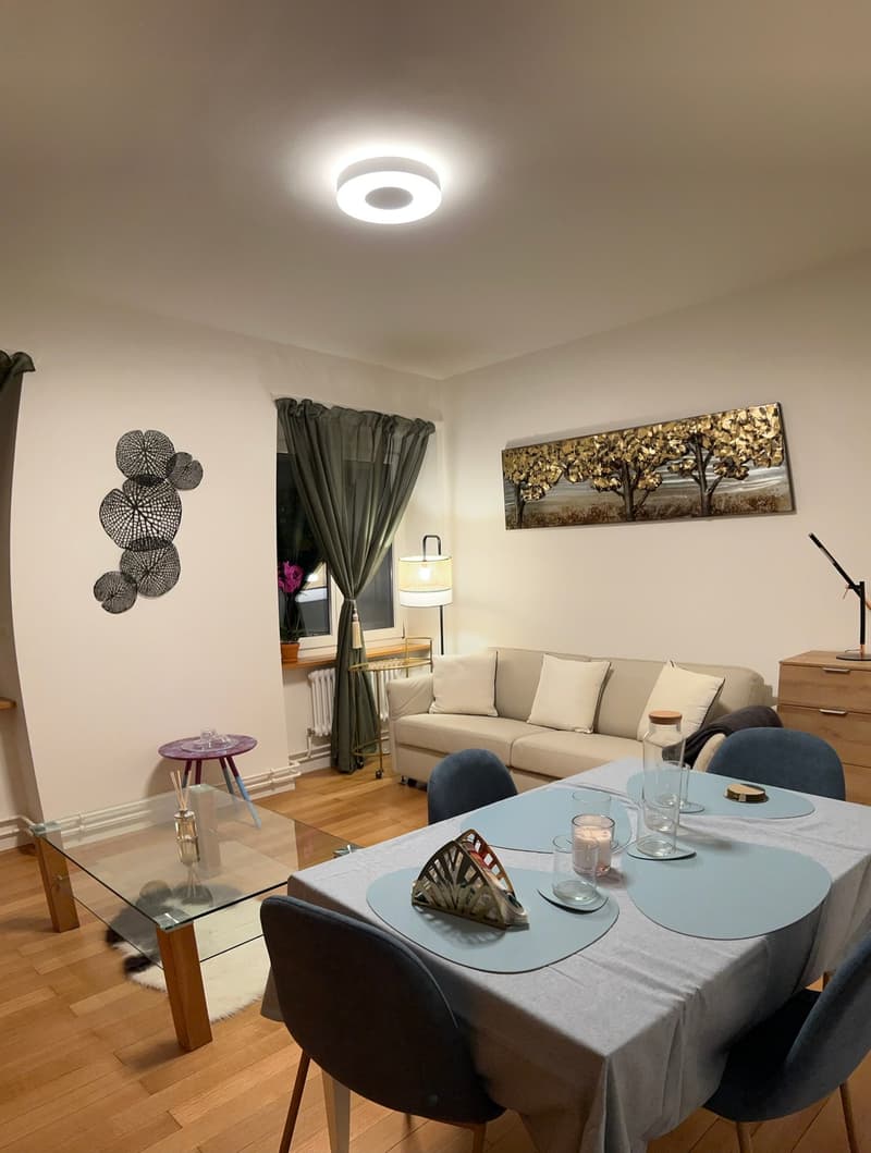 Expats - 3.5Zi Furnished Business Apartment @ 4058 Basel (1)
