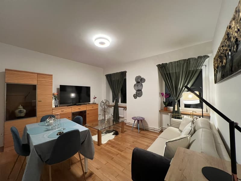 Expats - 3.5Zi Furnished Business Apartment @ 4058 Basel (2)