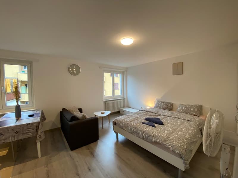 Expats - 2.5 Room Fully-Furnished Apartment at 8953 Uberlandstrasse, Dietikon (1)