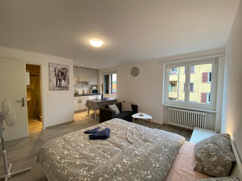 Expats - 2.5 Room Fully-Furnished Apartment at 8953 Uberlandstrasse, Dietikon (2)