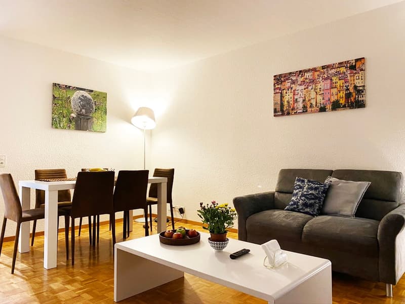 " Expats -3.5 fully furnished business apartment @ 8152 opfikon, Glattbrugg" (1)