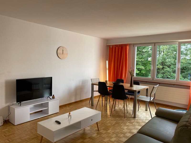 Expats -2.5 fully furnished business apartment @ 8152 opfikon, Glattbrugg (1)