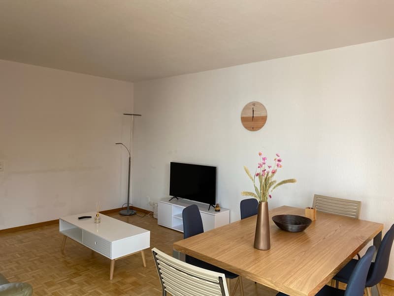 Expats -2.5 fully furnished business apartment @ 8152 opfikon, Glattbrugg (2)