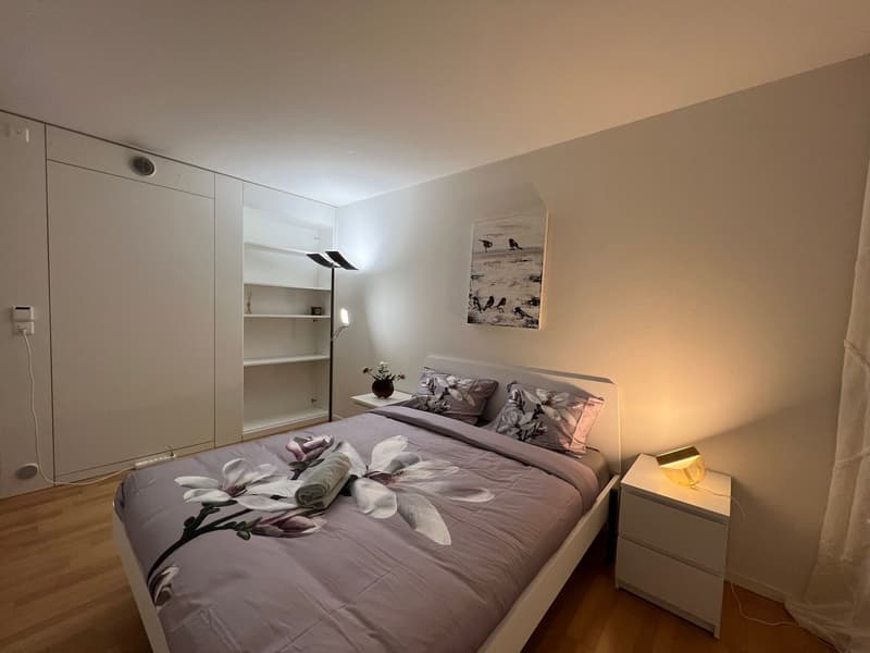 Expats -1.5 fully furnished business apartment @ Melchrütistrasse 10, 8304 Wallisellen (2)