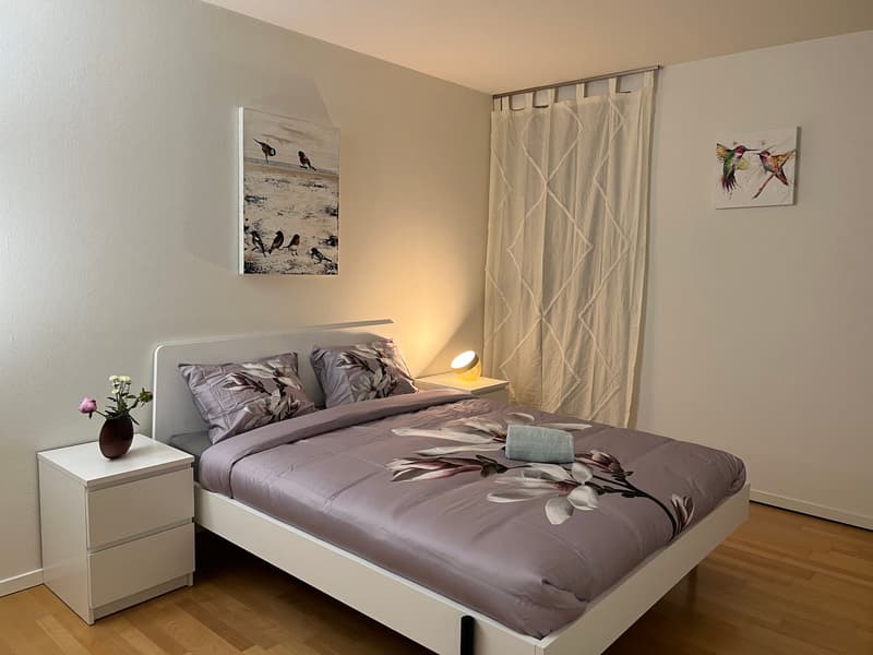 Expats -1.5 fully furnished business apartment @ Melchrütistrasse 10, 8304 Wallisellen (1)