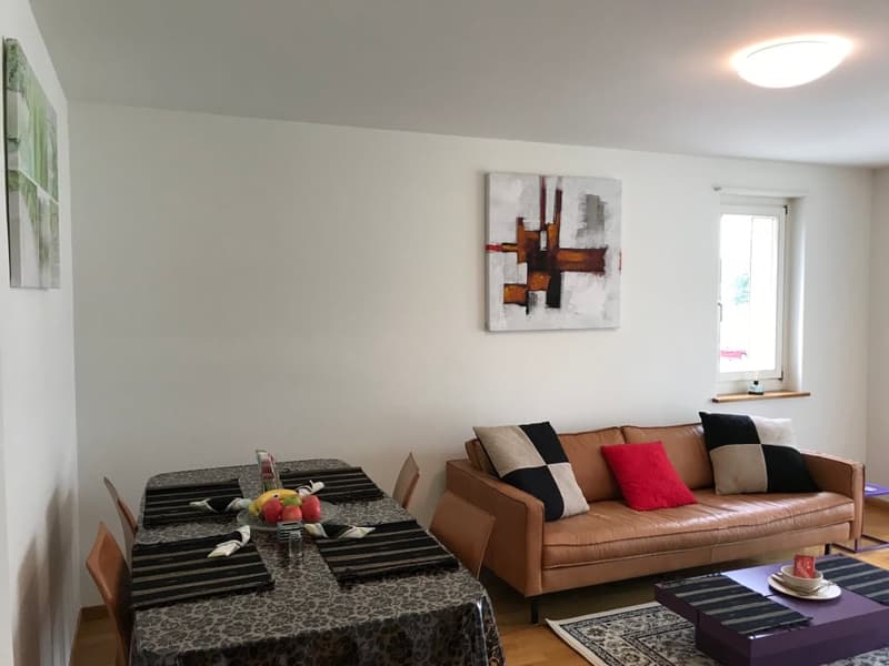 Expats - Elegant 3.5 rooms fully furnished business apartment @ Zürich - Zone 10 (1)