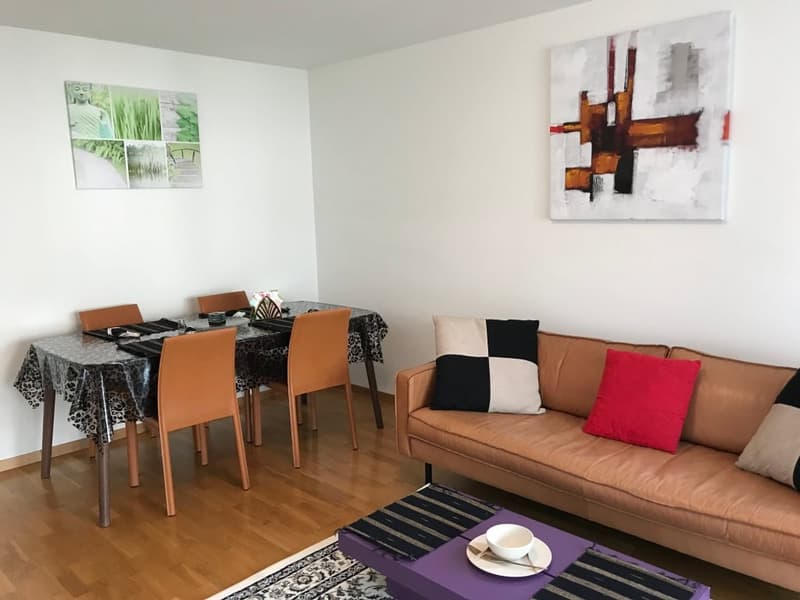 Expats - Elegant 3.5 rooms fully furnished business apartment @ Zürich - Zone 10 (2)