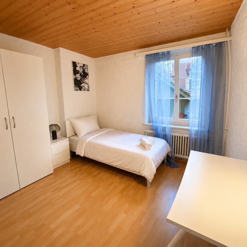 🏡 Beautiful 4.5-Zimmer Apartment in Langnau am Albis – Fully Furnished (15)