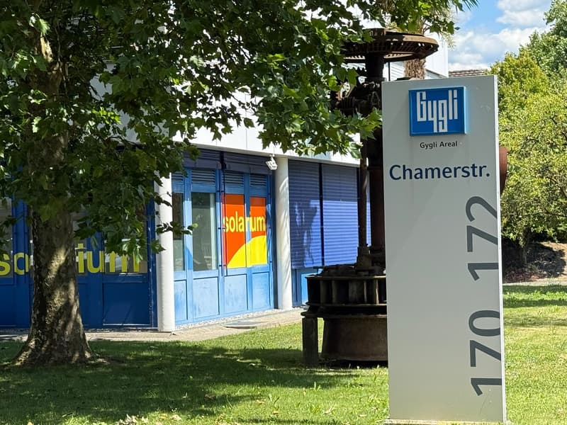 🏢 Modern Coworking Workspace | CHF 699/mo | Chamerstrasse 176 Zug | Available Now (19)