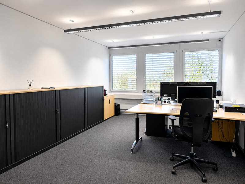 🏢 Modern Coworking Workspace | CHF 899/mo | Chamerstrasse 176 Zug | Available Now (3)