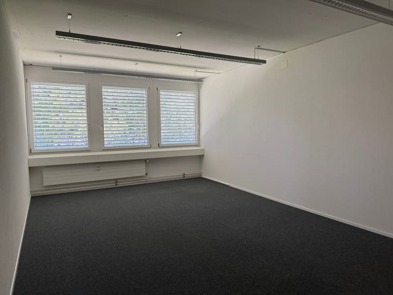 🏢 Modern Coworking Workspace | CHF 699/mo | Chamerstrasse 176 Zug | Available Now (17)