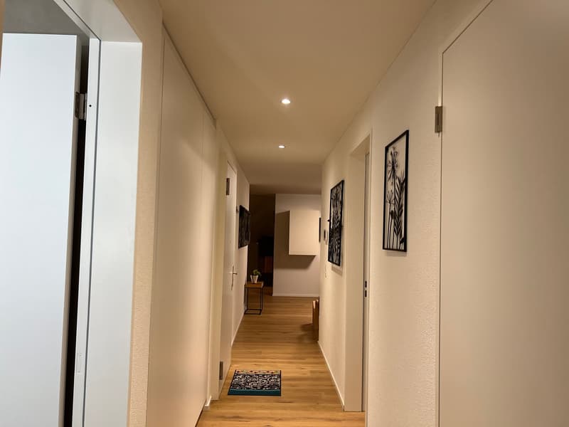 🏡 4.5 Room Fully Furnished Apartment – Embrach (Near Zürich Airport) (16)