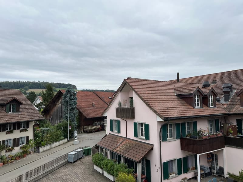 🏡 4.5 Room Fully Furnished Apartment – Embrach (Near Zürich Airport) (27)