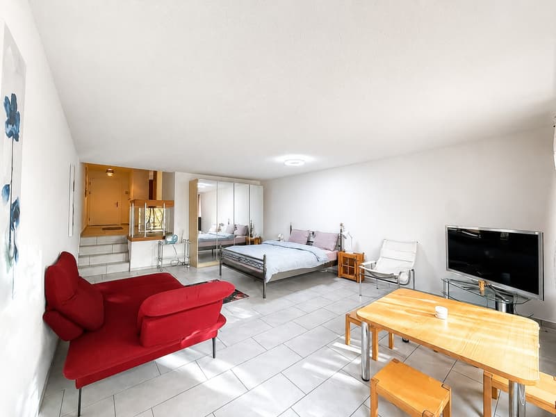 🌿 Bright Modern Studio with Balcony & Garden Access | Minutes from Zürich HB (3)