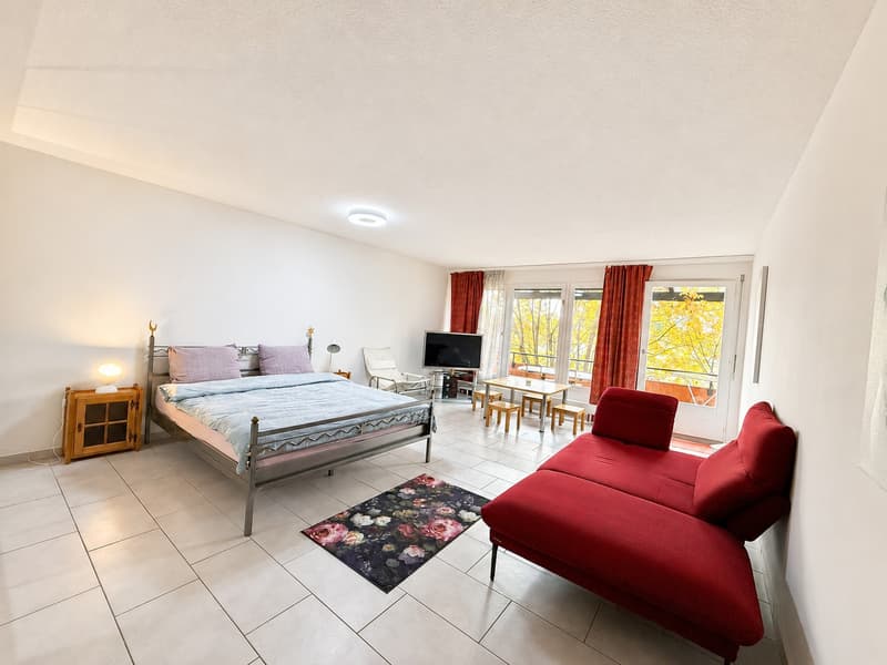 🌿 Bright Modern Studio with Balcony & Garden Access | Minutes from Zürich HB (1)