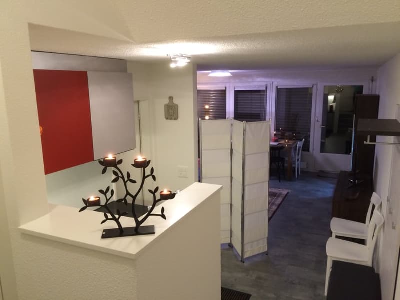 🏡✨ Welcome to Your Perfect Home Away From Home  in Birmensdorf ZH (7)