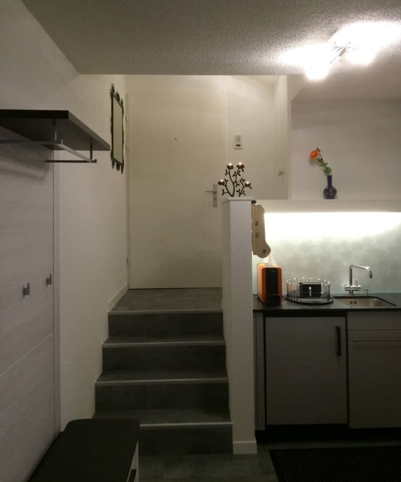🏡✨ Welcome to Your Perfect Home Away From Home  in Birmensdorf ZH (10)