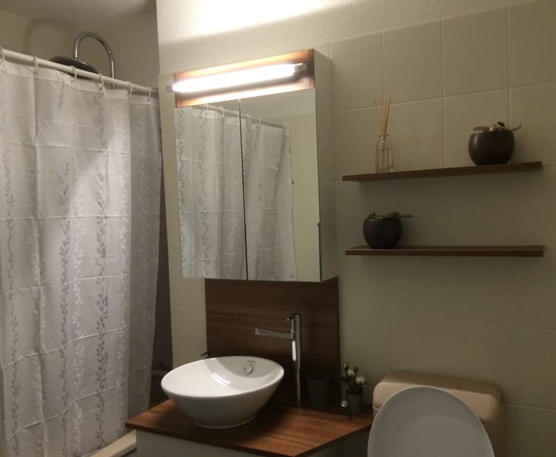 🏡✨ Welcome to Your Perfect Home Away From Home  in Birmensdorf ZH (12)