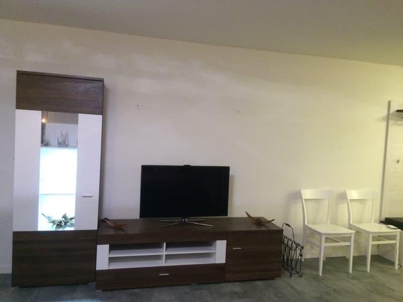 🏡✨ Welcome to Your Perfect Home Away From Home  in Birmensdorf ZH (3)