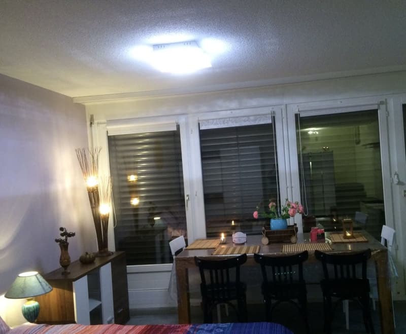 🏡✨ Welcome to Your Perfect Home Away From Home  in Birmensdorf ZH (5)