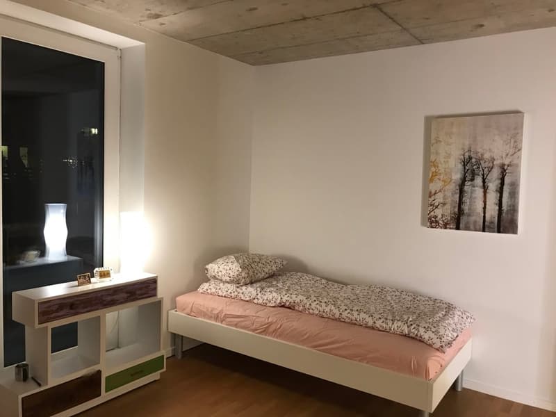 🏡✨ Fully Furnished 2-5 room Appartment for rent in Wallisellen  (Melchrütistrasse 14) (7)