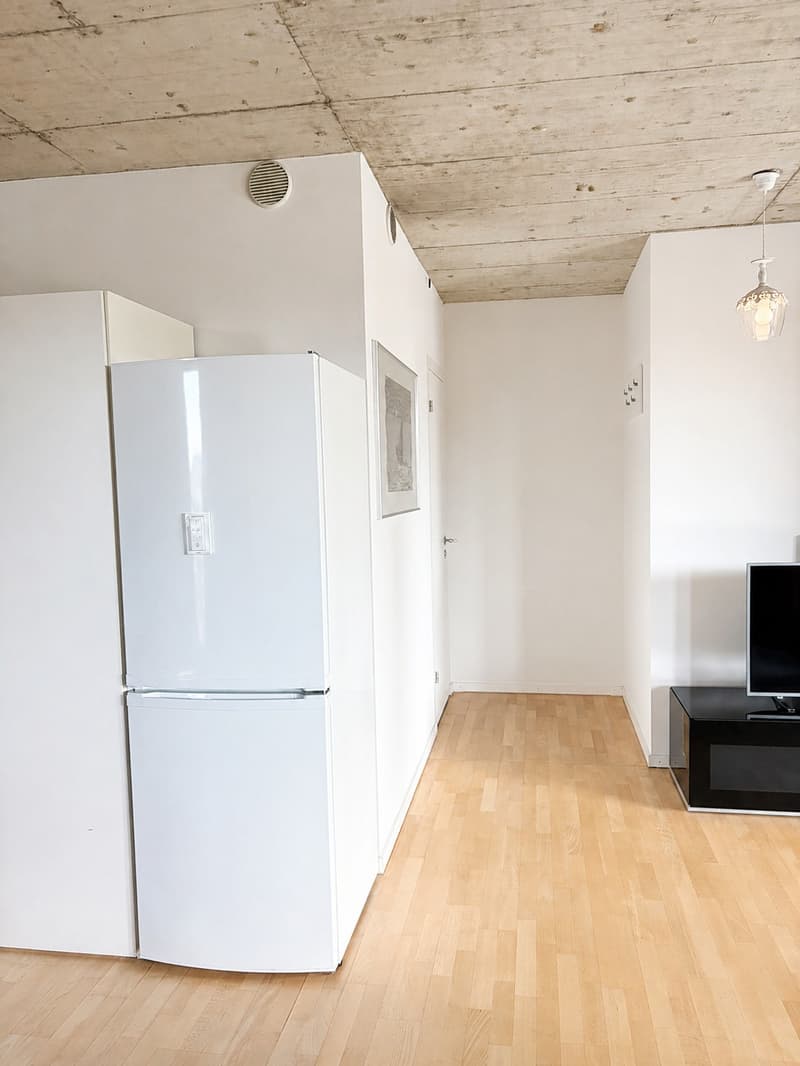 🏡✨ Fully Furnished 2-5 room Appartment for rent in Wallisellen (Melchrütistrasse 14) (6)