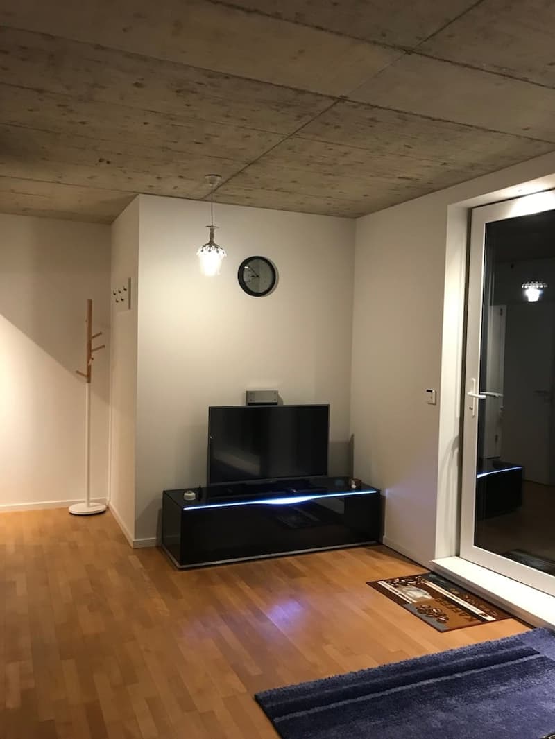 🏡✨ Fully Furnished 2-5 room Appartment for rent in Wallisellen  (Melchrütistrasse 14) (2)
