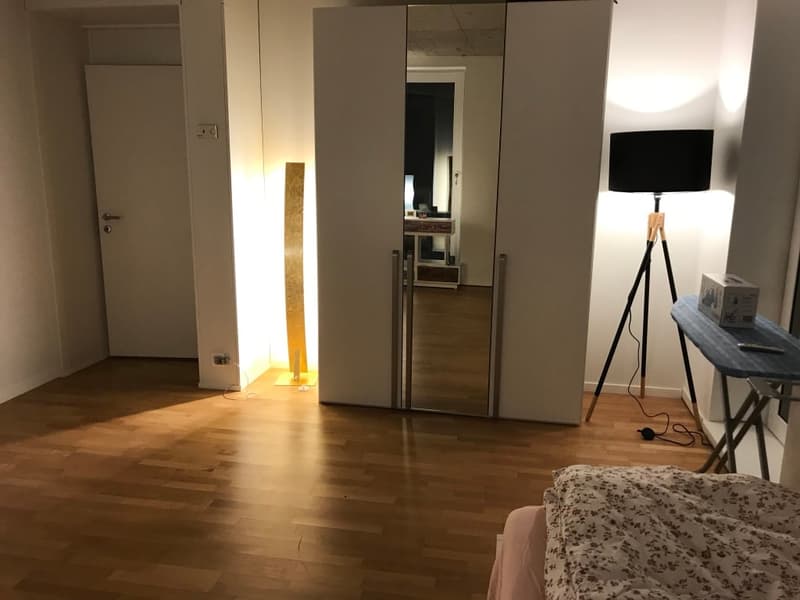 🏡✨ Fully Furnished 2-5 room Appartment for rent in Wallisellen  (Melchrütistrasse 14) (5)