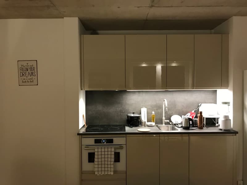 🏡✨ Fully Furnished 2-5 room Appartment for rent in Wallisellen  (Melchrütistrasse 14) (3)