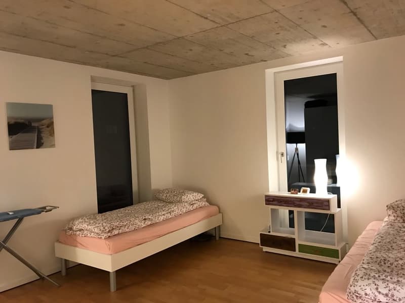 🏡✨ Fully Furnished 2-5 room Appartment for rent in Wallisellen  (Melchrütistrasse 14) (6)