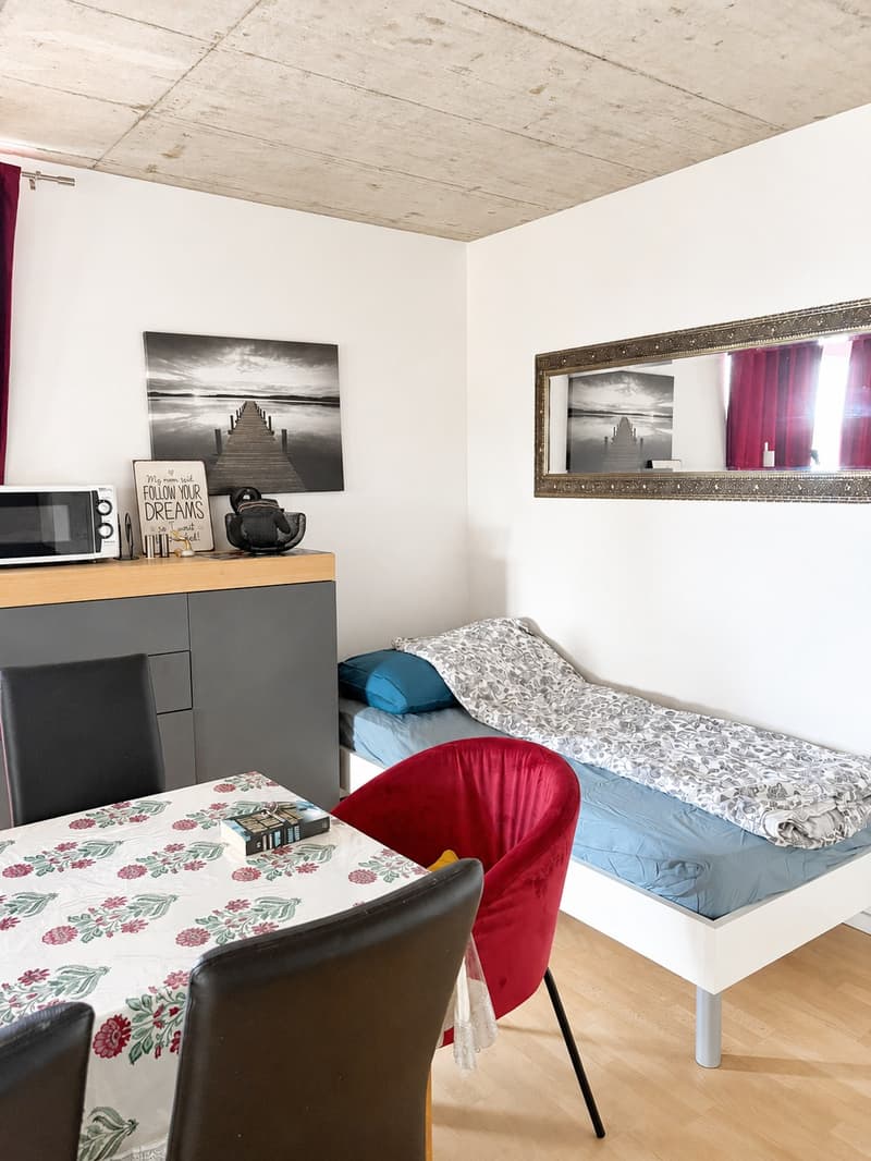 🏡✨ Fully Furnished 2-5 room Appartment for rent in Wallisellen (Melchrütistrasse 14) (12)