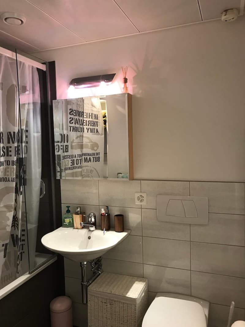 🏡✨ Fully Furnished 2-5 room Appartment for rent in Wallisellen  (Melchrütistrasse 14) (9)
