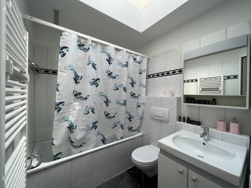 🏡 Premium Furnished 2.5-Room Apartment | Neugutstrasse 12, 8304 Wallisellen | 5th Floor (12)