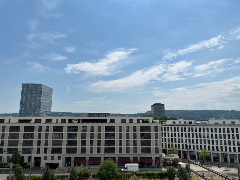 🏡 Premium Furnished 2.5-Room Apartment | Neugutstrasse 12, 8304 Wallisellen | 5th Floor (15)