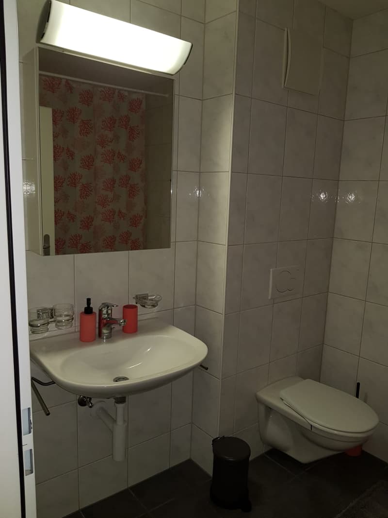 🏡 Premium Furnished 2.5-Room Apartment | Riehenring 143 | 4058 Basel | 3rd Floor (Right Side) (11)