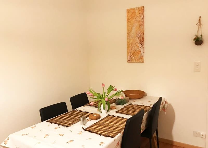 🏡 Premium Furnished 2.5-Room Apartment | Riehenring 143 | 4058 Basel | 3rd Floor (Right Side) (3)