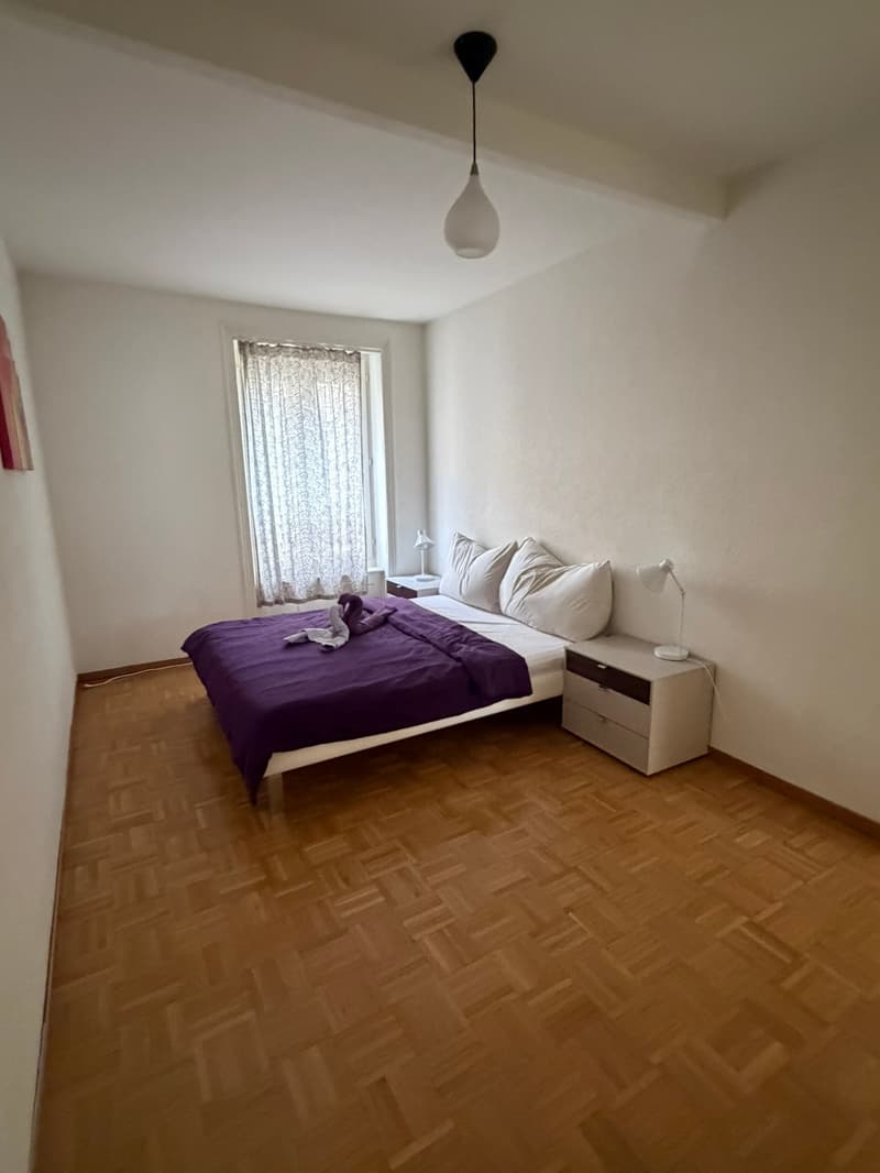 🏡 Modern 3.5-Room Furnished Apartment in Zürich Altstetten (near Zürich-Binz) (9)