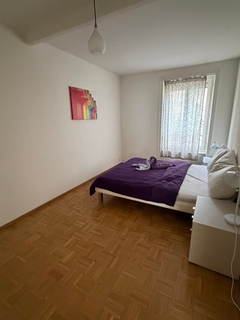 🏡 Modern 3.5-Room Furnished Apartment in Zürich Altstetten (near Zürich-Binz) (8)