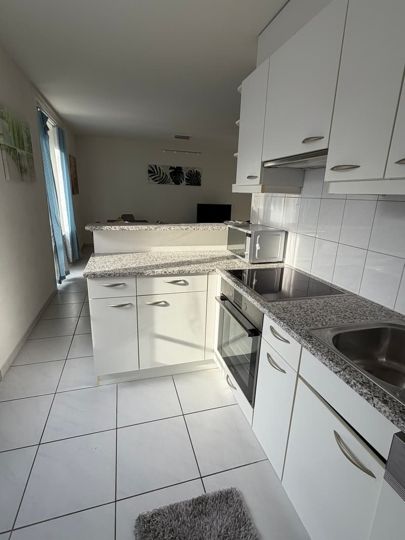 🏡 Modern 3.5-Room Furnished Apartment in Zürich Altstetten (near Zürich-Binz) (16)