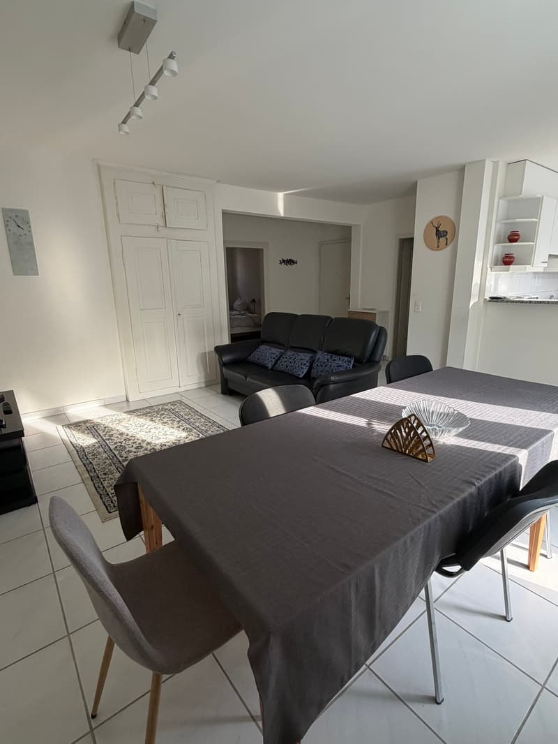 🏡 Modern 3.5-Room Furnished Apartment in Zürich Altstetten (near Zürich-Binz) (2)