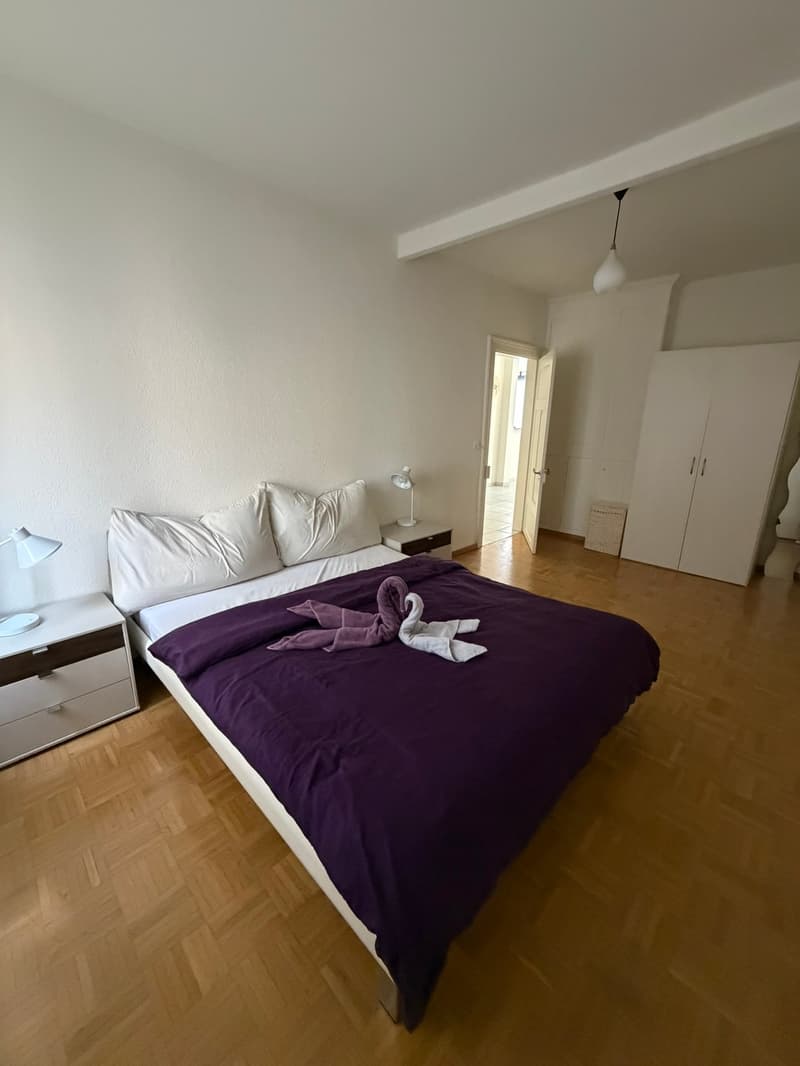 🏡 Modern 3.5-Room Furnished Apartment in Zürich Altstetten (near Zürich-Binz) (3)