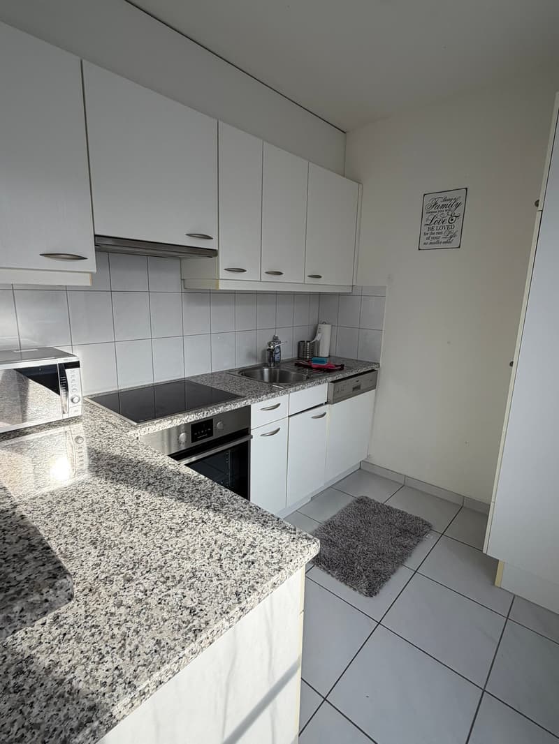 🏡 Modern 3.5-Room Furnished Apartment in Zürich Altstetten (near Zürich-Binz) (14)