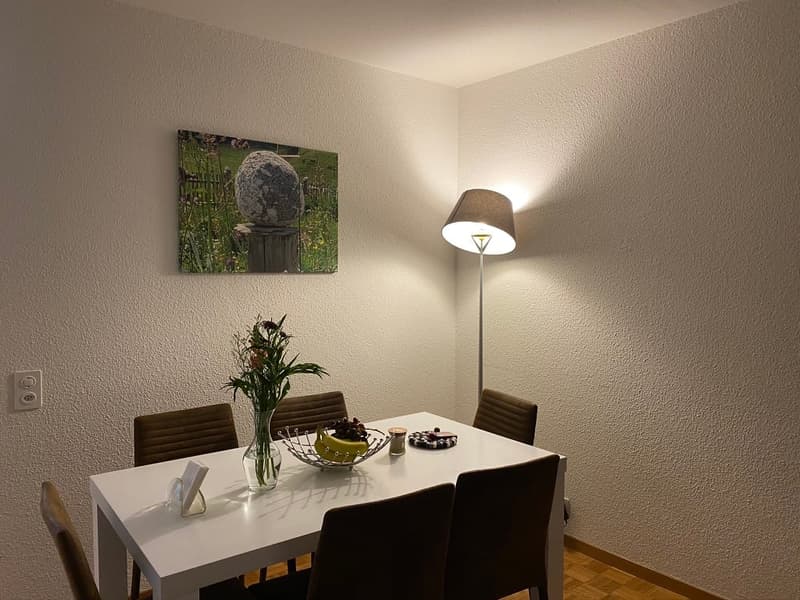 🏡 3.5 Room Furnished Apartment – Zurich (Ideal for Corporate & Families) (11)