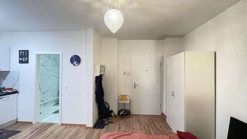 🏡Cozy Furnished 1-Room Apartment Steinstrasse 35 8003 Zürich Ground Floor Left Side -S1 Zürich (12)