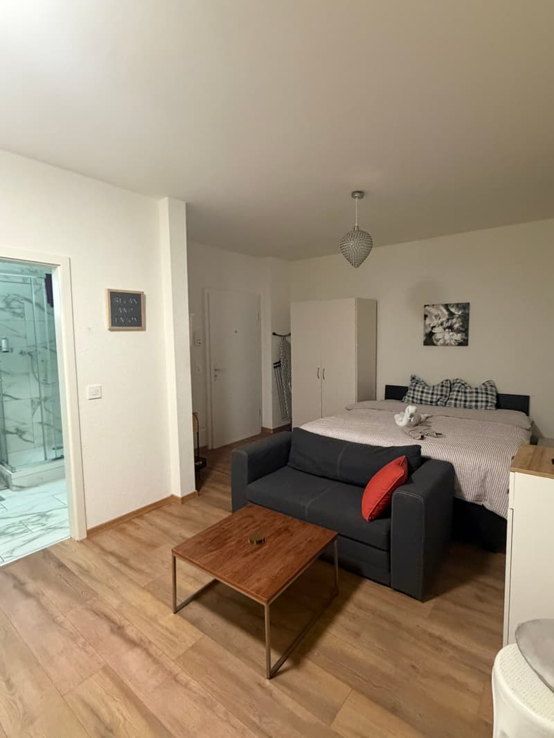 🏡Cozy Furnished 1-Room Apartment Steinstrasse 35 8003 Zürich Ground Floor Left Side -S1 Zürich (7)