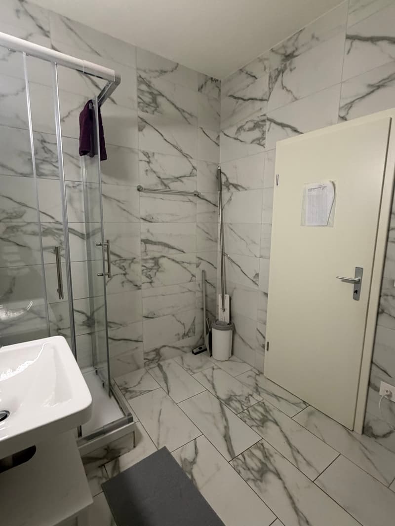 🏡Cozy Furnished 1-Room Apartment Steinstrasse 35 8003 Zürich Ground Floor Left Side -S1 Zürich (11)